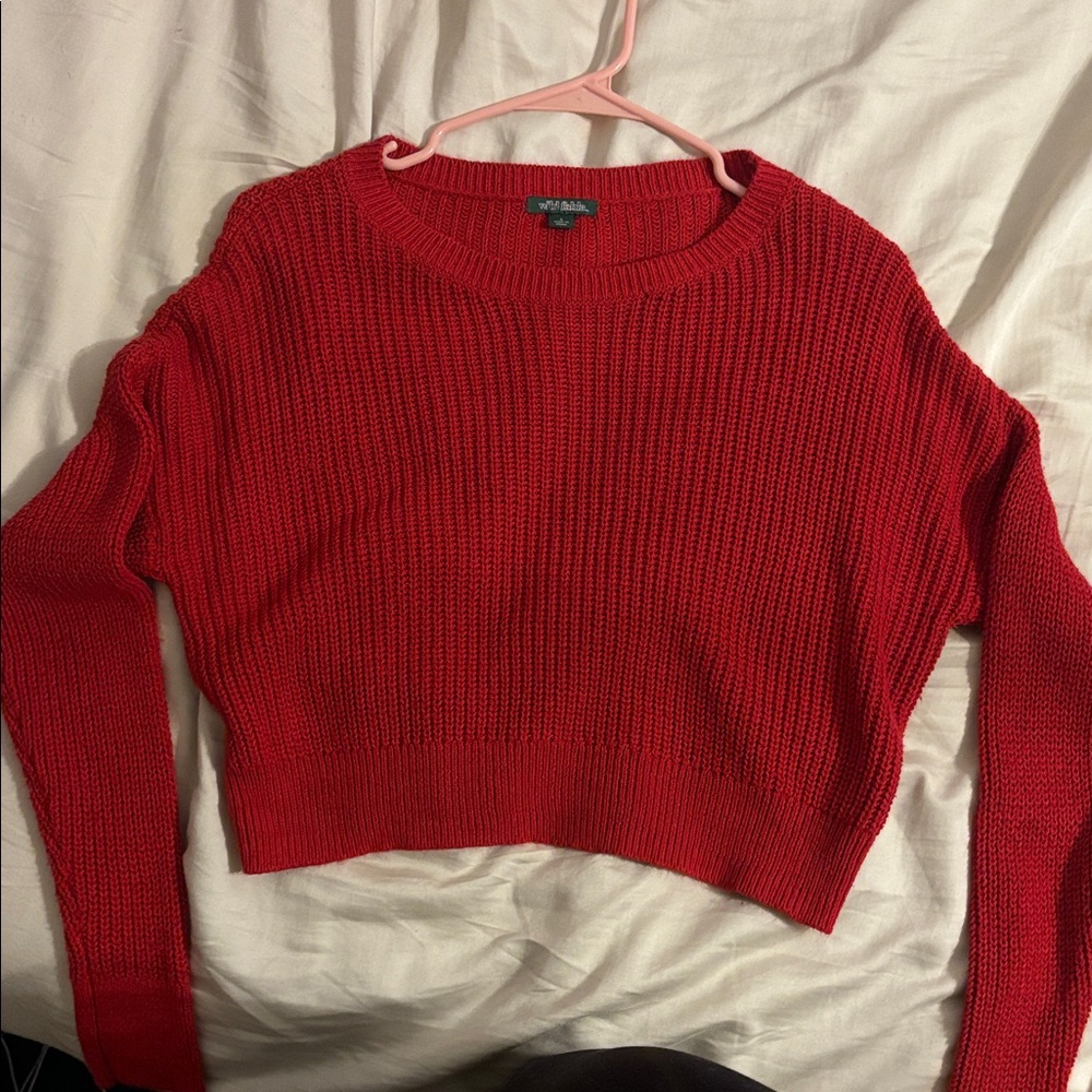 Wild Fable Red Cropped Knit Sweater